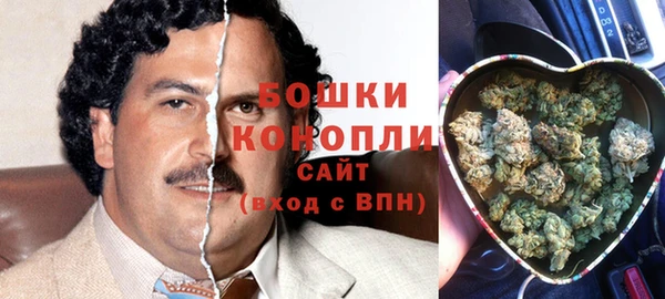 шишки Алзамай